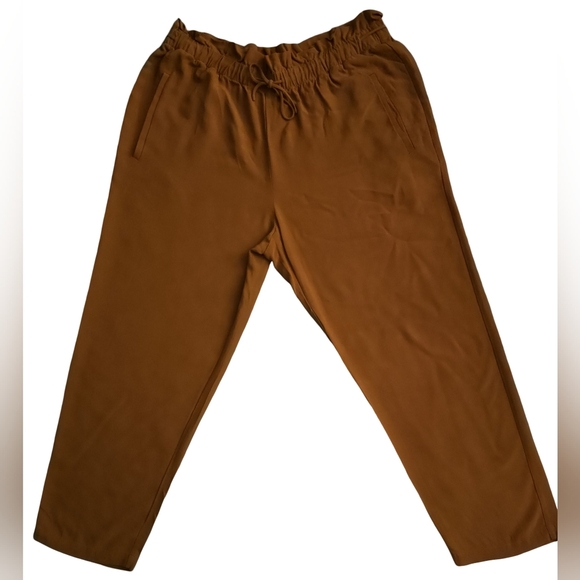 Eileen Fisher Rust Crepe Tencel Pants Ankle Drawstring Comfort Sz M - Picture 7 of 15